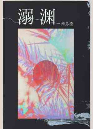溺渊穆于小说