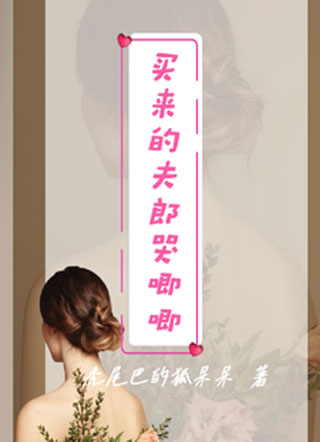 买来的夫郎哭唧唧小说