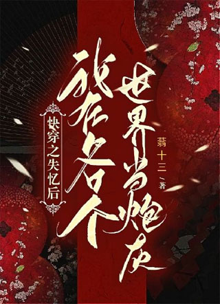 快穿：失忆后我在各个世界当炮灰小说