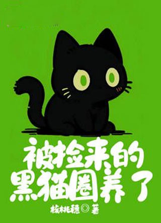 被捡来的黑猫圈养了小说