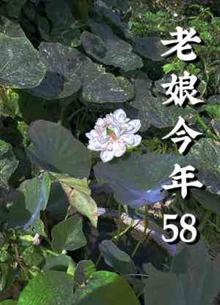 老娘今年58小说