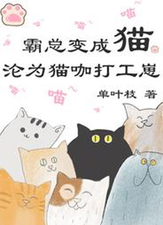 霸总变成猫，沦为猫咖打工崽小说