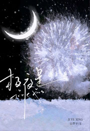 极夜星小说