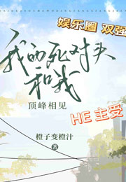 我的死对头和我顶峰相见小说