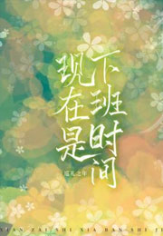 现在是下班时间小说