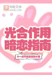 光合作用暗恋指南小说