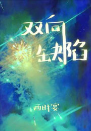 双向缺陷小说