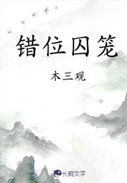 错位囚笼小说
