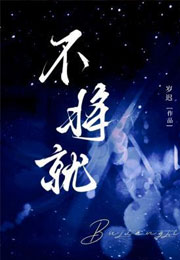 不将就小说