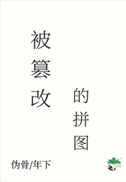 被篡改的拼图小说