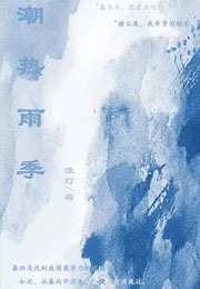 潮热雨季小说