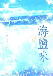 海盐味小说