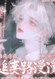 傅先生他追妻路漫漫小说