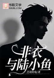 非衣与陆小鱼小说