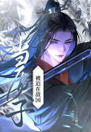 被迫在敌国当质子的日日夜夜小说