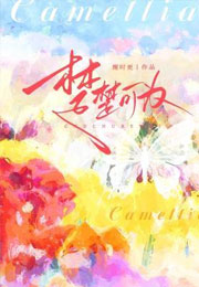 楚楚可为小说