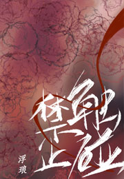 禁止触碰小说