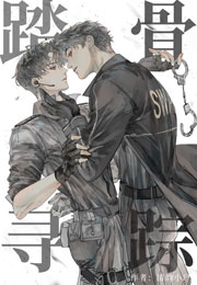 踏骨寻踪[刑侦]小说