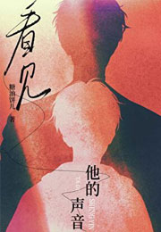 看见他的声音小说