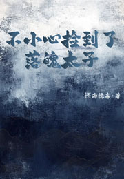 不小心捡到了落魄太子小说