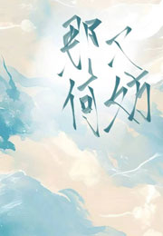 那又何妨小说