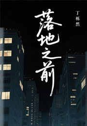 落地之前小说