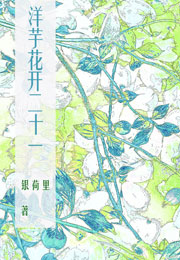 洋芋花开二十一小说