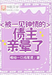 被一见钟情的债主亲晕了小说