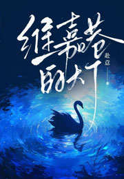 维嘉巷的灯小说
