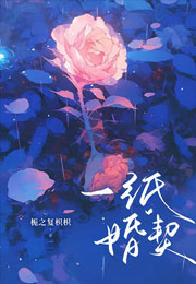一纸婚契小说