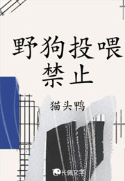 野狗投喂禁止小说