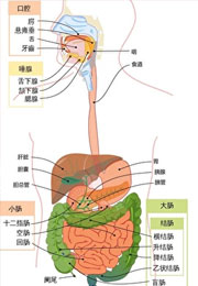 原来我不是精神病啊小说