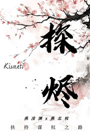 探烬小说