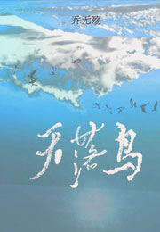 天落鸟小说