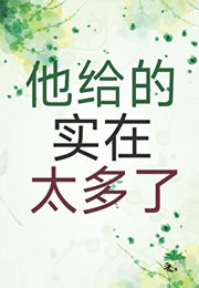 他给的实在太多了承越小说