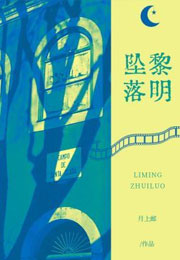 黎明坠落小说
