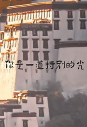 你是一道特别的光小说