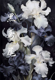黑鸢尾祁砚小说