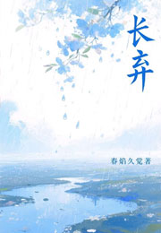 长弃小说