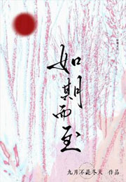 如期而至小说