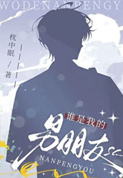 谁是我的男朋友小说
