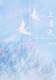 上青天小说