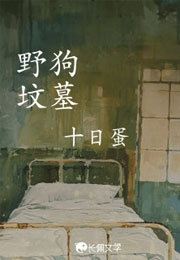 野狗坟墓小说