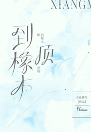 攀到橡木顶端小说