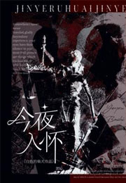 今夜入怀小说