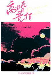 离婚竞拍小说