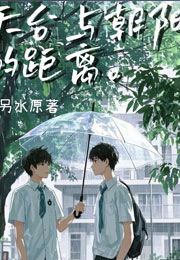 天台与朝阳的距离小说