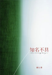 知名不具小说