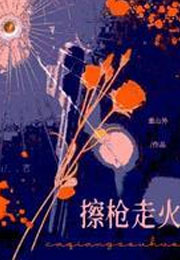 擦枪走火小说