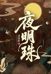 夜明珠小说